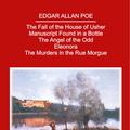 Copertă produs Howard Pyle & Edgar Allan Poe - Selected Works - gallery small 