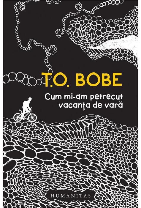 Copertă produs Cum mi-am petrecut vacanța de vară