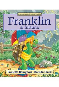 Copertă produs Franklin și furtuna