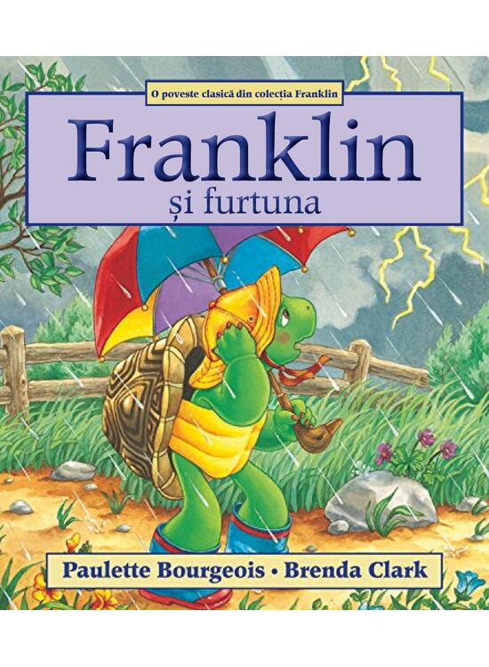 Copertă produs Franklin și furtuna - gallery big 1