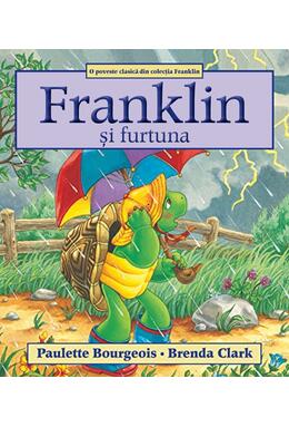 Copertă produs Franklin și furtuna