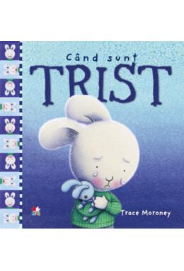 Copertă produs Când sunt trist