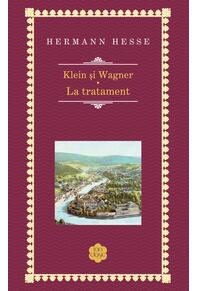 Copertă produs Klein și Wagner. La tratament
