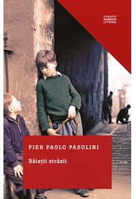 Copertă produs Băieții străzii