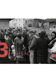 Copertă produs Flashback 3. Societate multilateral dezvoltată falimentară