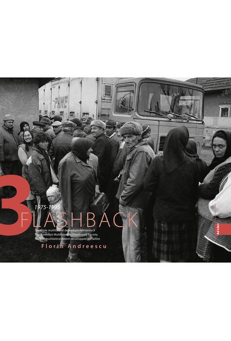 Copertă produs Flashback 3. Societate multilateral dezvoltată falimentară