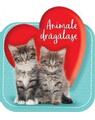 Copertă produs Animale drăgălașe - thumb 1