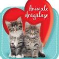 Copertă produs Animale drăgălașe - gallery small 