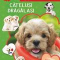 Copertă produs Cartea mea cu abțibilduri distractive. Cățeluși drăgălași - gallery small 