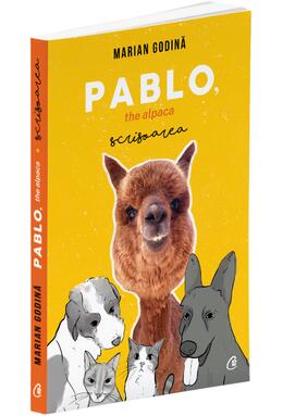 Copertă produs Pablo, the alpaca