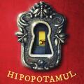 Copertă produs Hipopotamul de la capătul coridorului - gallery small 