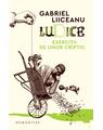 Copertă produs Ludice. Exerciții de umor criptic - thumb 1