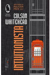 Copertă produs Intuiționista