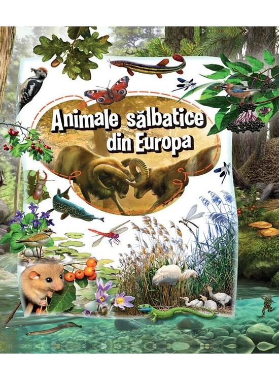 Copertă produs Animale sălbatice din Europa - gallery big 1