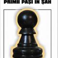 Copertă produs Primii pași &icirc;n șah - gallery small 