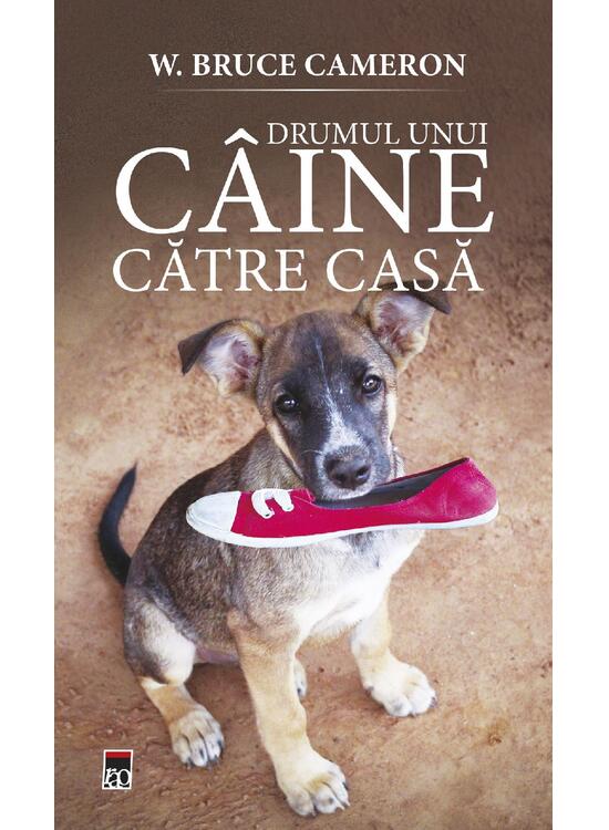 Copertă produs Drumul unui c&acirc;ine către casă (Vol. 2) - gallery big 1