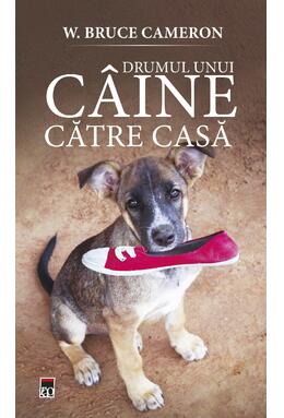 Copertă produs Drumul unui c&acirc;ine către casă (Vol. 2)
