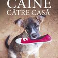 Copertă produs Drumul unui c&acirc;ine către casă (Vol. 2) - gallery small 