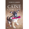 Copertă produs Drumul unui c&acirc;ine către casă (Vol. 2)