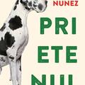 Copertă produs Prietenul - gallery small 