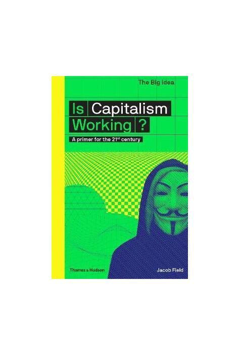 Copertă produs Is Capitalism Working? A primer for the 21st century