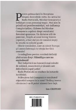Copertă produs Căderea lui Ceaușescu