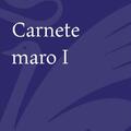 Copertă produs Carnete maro (Vol. 1) - gallery small 