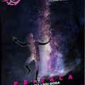 Copertă produs Prisaca Revista CSF Nr. 5 - gallery small 