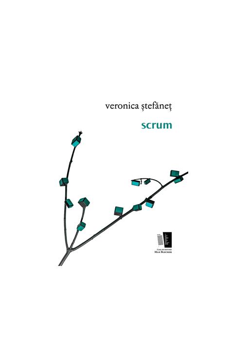 Copertă produs scrum