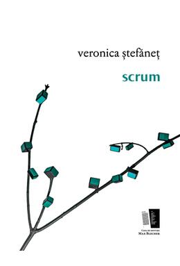 Copertă produs scrum