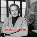Copertă produs Marin Gherasim - gallery small 