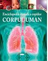 Copertă produs Enciclopedia vizuală a copiilor - Corpul uman - thumb 1