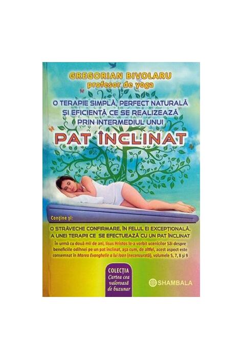 Copertă produs Pat &icirc;nclinat