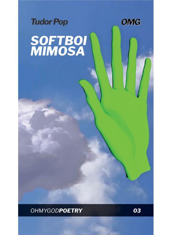 Copertă produs Softboi mimosa - gallery big 1