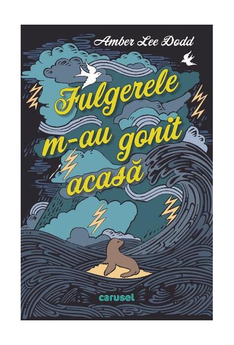 Copertă produs Fulgerele m-au gonit acasă