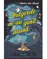 Copertă produs Fulgerele m-au gonit acasă - thumb 1