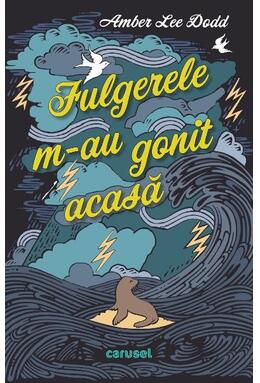 Copertă produs Fulgerele m-au gonit acasă
