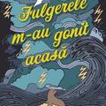 Copertă produs Fulgerele m-au gonit acasă - gallery small 