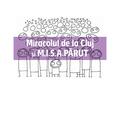 Copertă produs Miracolul de la Cluj și M.I.S.A. PĂRUT - gallery small 