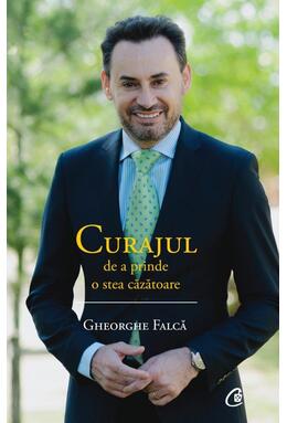 Copertă produs Curajul de a prinde o stea căzătoare