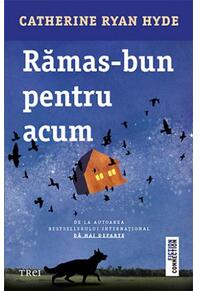 Copertă produs Rămas-bun pentru acum