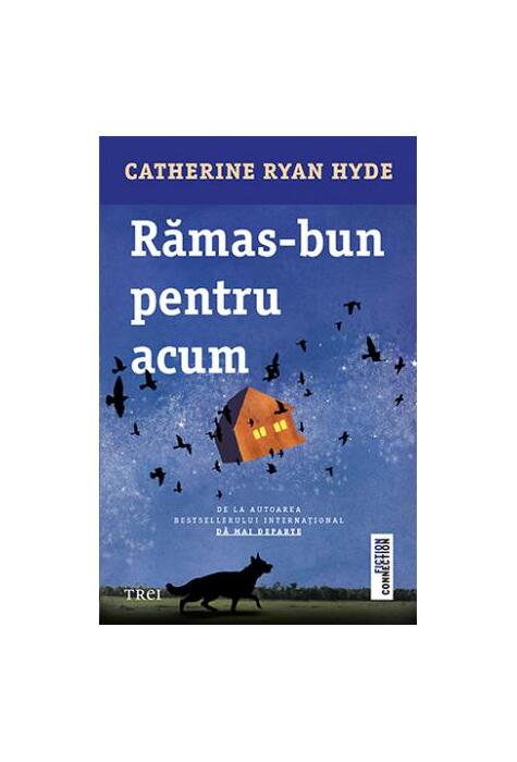 Copertă produs Rămas-bun pentru acum
