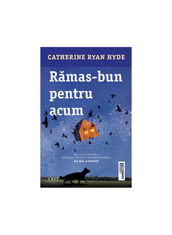 Copertă produs Rămas-bun pentru acum - gallery big 1