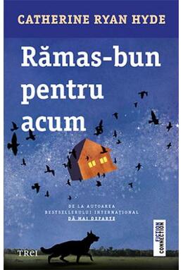 Copertă produs Rămas-bun pentru acum