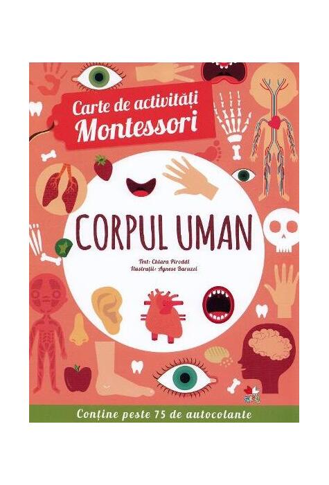 Copertă produs Corpul uman