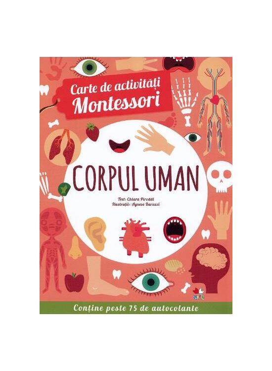 Copertă produs Corpul uman - gallery big 1