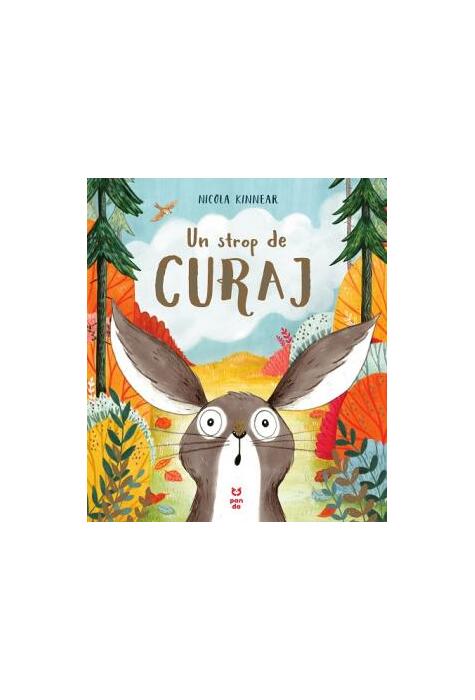 Copertă produs Un strop de curaj