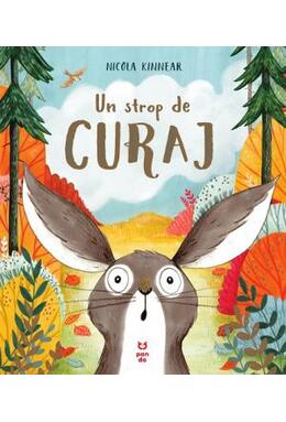 Copertă produs Un strop de curaj