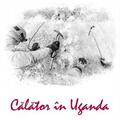 Copertă produs Călător &icirc;n Uganda - gallery small 
