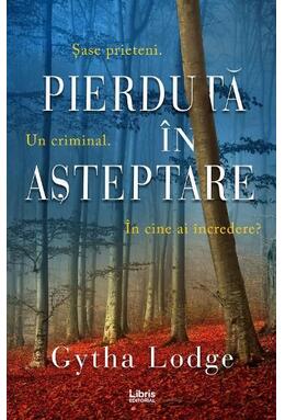 Copertă produs Pierdută &icirc;n așteptare